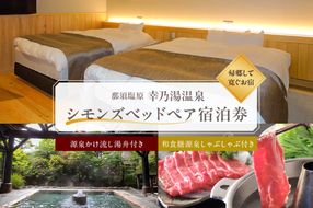 ns022-002 源泉かけ流し湯舟付き・シモンズベッドペア宿泊券