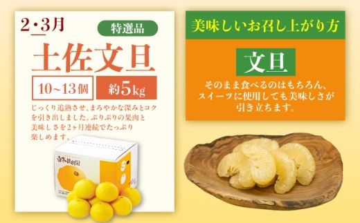 【4回定期便】バラエティ文旦 贅沢コース〈水晶文旦・温室文旦・贈答品 土佐文旦 〉/ 文旦 ぶんたん ブンタン 土佐文旦 水晶文旦 温室文旦 柑橘 フルーツ 果物 くだもの 定期便【白木果樹園】 [BQAI061]