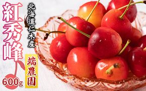 先行受付 北海道 仁木町産 さくらんぼ 南陽 600g（300g×2パック） 北海道知事賞受賞農園 デザート スイーツ 最優秀賞 おすすめ 美味しい サクランボ チェリー フルーツ 果物 果物類  仁木町 仁木 [端農園]