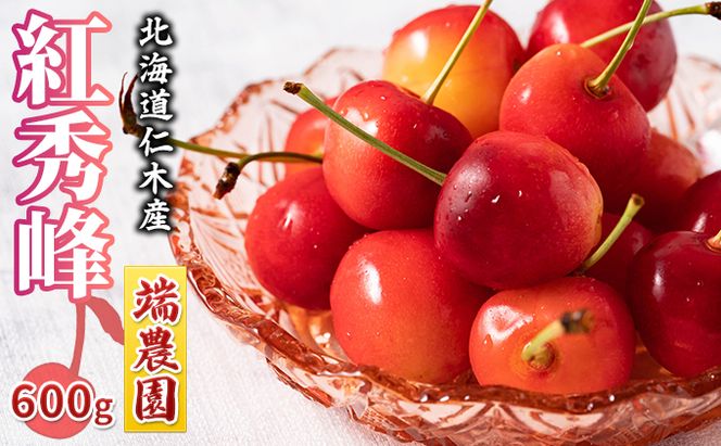 先行受付 北海道 仁木町産 さくらんぼ 南陽 600g（300g×2パック） 北海道知事賞受賞農園 デザート スイーツ 最優秀賞 おすすめ 美味しい サクランボ チェリー フルーツ 果物 果物類  仁木町 仁木 [端農園]