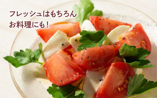 【先行予約】濃厚フルーツトマト 1kg 〈2027年1月〜発送〉 / Aランク 糖度8度以上 期間限定 フルーツトマト ふるーつとまと とまと トマト 甘い 濃厚 美味しい 箱入り 贈答 野菜 料理 高知県 土佐市【池トマト】[BQAG009]