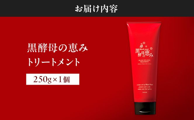 黒酵母の恵み トリートメント ヘアケア 美容 コスメ 送料無料 ヘアトリートメント 