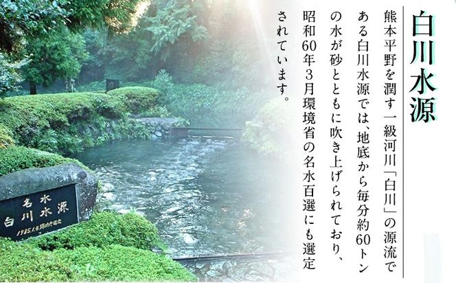 【定期便６ヶ月】日本名水百選ミネラルウォーター「南阿蘇・白川水源」定期便6ヶ月 2L×6本入2ケース《申込み翌月から発送》熊本県 南阿蘇村 物産館自然庵 水 ミネラルウォーター---sms_sznmwtei_r7_67000_mo6num1---