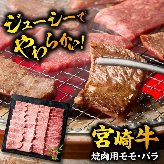 【A5等級宮崎牛】焼肉用モモ・バラ500g（小林市産 牛肉 和牛 特選 贅沢 厳選和牛 ブランド牛 ギフト 贈答）
