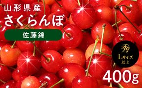 FYN6-615 ≪2027年先行予約≫山形県産 さくらんぼ 佐藤錦 400g 秀品 L以上 バラパック詰め 2027年6月中旬から順次発送 果物 くだもの フルーツ サクランボ チェリー 贈答 贈り物 ギフト プレゼント 自宅 家庭 産地直送 山形県 西川町 月山