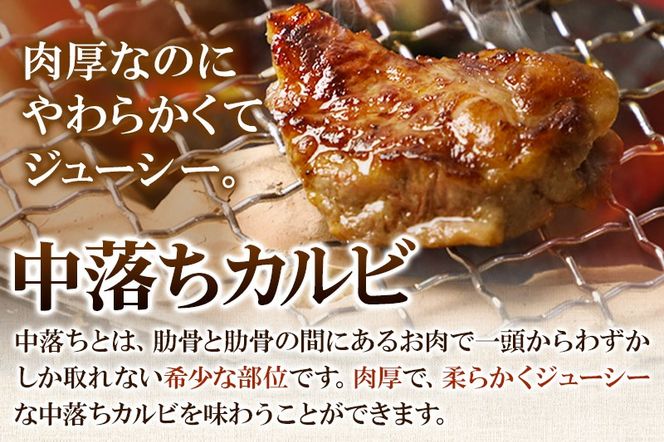 お肉屋さんの中落ちカルビ（塩味）1kg小分け対応（250g×4パック）|06_thm-370401