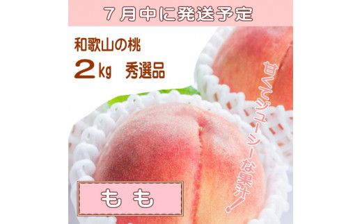 【定期便】夏をお届け！フルーツ定期便！小玉すいか・桃・ピオーネ（全3回）/ フルーツ 果物 すいか ひとりじめ7 もも モモ ぶどう ブドウ 旬 定期便 【tkb345】