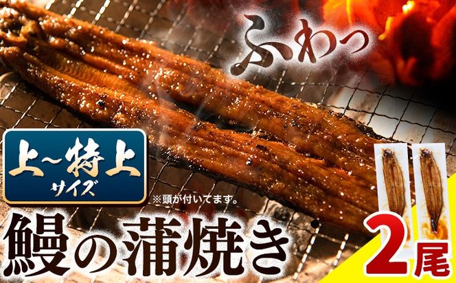 �y���������߉͓����z�������Y ���Ȃ��̊��Ă�2�� �^���E�R���t�s30���ȓ��ɏo�ח\��(�y���j����)�t���Ȃ��̊��Ă� �������Y---sanagouchi_lcl_44_2bi---