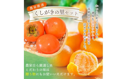 【先行予約】 道の駅くしがきの里セット 富有柿3個・温州みかん約30個の詰め合わせ こだわり農家厳選  【2026年11月初旬頃から2026年12月中旬頃順次発送】/ みかん 温州みかん 柿 富有柿 かき 詰め合わせ 果物詰め合わせ 果物 フルーツ おやつ【kgr022】