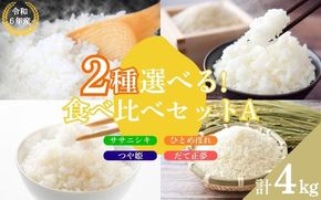 【2品種選べる】いとうファームの 令和6年産 食べ比べセットB 各2kg×2種 計4kg ( ササニシキ 、 ひとめぼれ 、 つや姫 、 だて正夢 ) / 米 お米 精米 白米 ご飯 食べ比べ セット 産地直送 