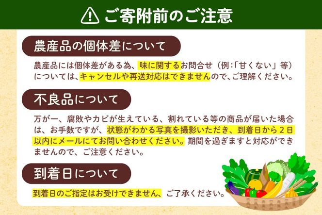 BH093 【期間限定発送】長崎県産 ハウスびわ 約500g 化粧箱入り [ フルーツ 果物 くだもの びわ ビワ 枇杷 数量限定 季節限定 初夏 長崎県 島原市 ]