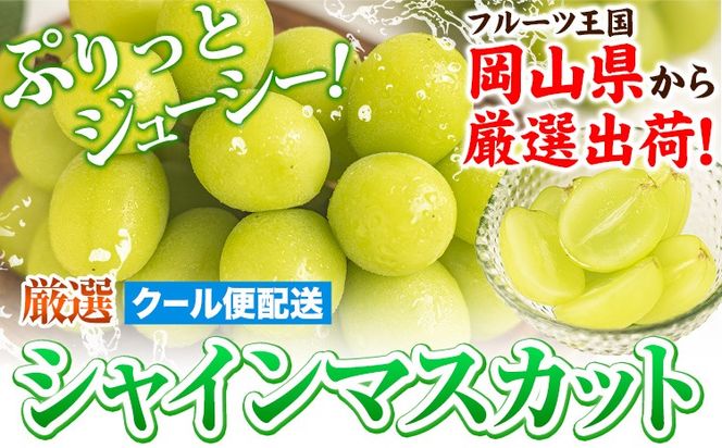 晴れの国頒布会 秋 選べる お届けコース 無洗米 5kg 10kg 20kg シャインマスカット 600g 1.2kg 2kg 《ページ内記載の時期に発送》岡山県 笠岡市 フルーツ 旬 果物 葡萄 ぶどう コメ お取り寄せ---kasaoka_zsytei_367_o1---