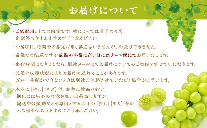 ぶどう 2026年 先行予約 ご家庭用 シャイン マスカット 2房 1房600g～700g 10月発送分 ブドウ 葡萄 フルーツ 果物 岡山 赤磐市産 農マル園芸 あかいわ農園 果物類 歯ごたえ ジューシー 上品な甘み 
