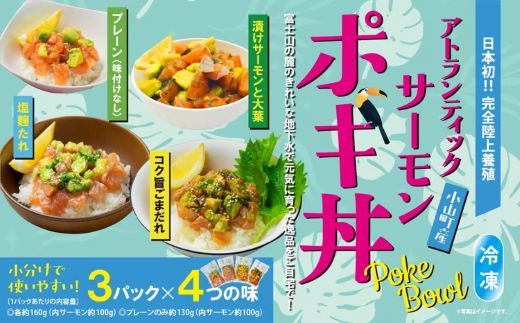 日本初 完全陸上養殖 静岡県小山町産 アトランティックサーモン 冷凍 ポキ丼 ( 食べ比べ セット 約160g / 約130g × 3パック × 4つの味 )