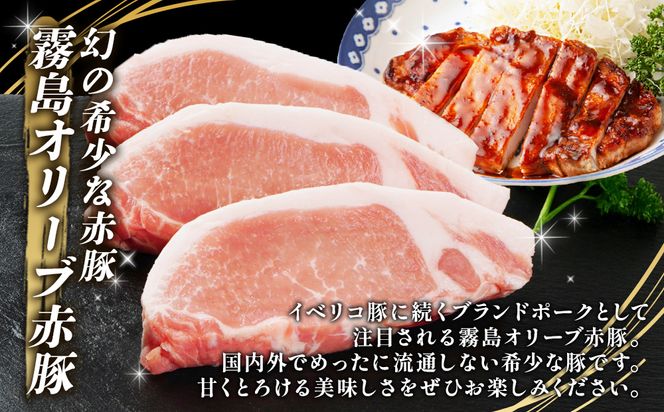 宮崎県産豚肉 トンテキ用300g（ロース100g）×6パック