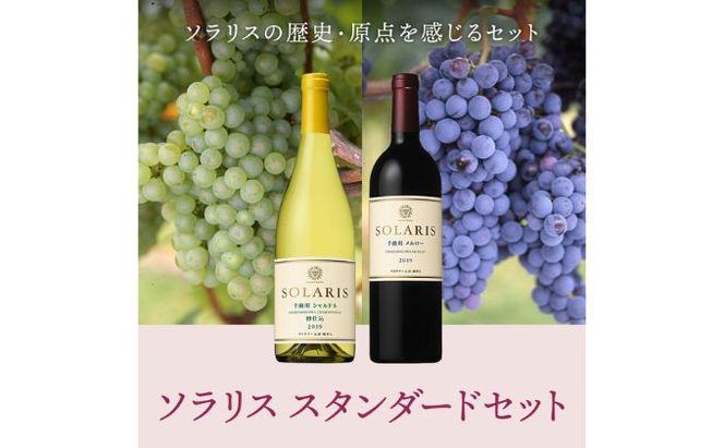 母の日 ワイン 信州ワイン 赤 白 ソラリス スタンダードセット ワインセット フレッシュ 果実香 ほどよい酸味 アロマ 果実味 タンニン