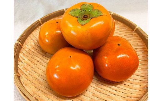 和歌山秋の味覚　富有柿　約4kg　化粧箱入【uot703】