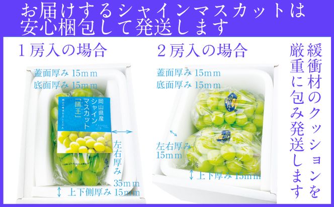 2026年予約受付中【3回定期便】シャインマスカット晴王2房 約1.2kg 7月8月9月に出荷 人気 岡山県産 種無し 皮ごと食べる みずみずしい  フレッシュ 晴れの国 おかやま 果物大国 ハレノフルーツ