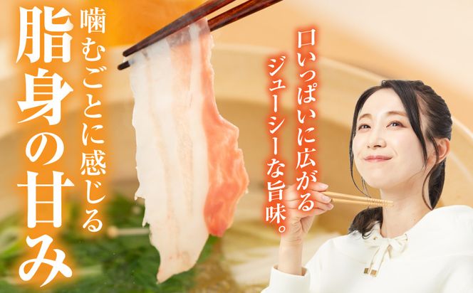 「都城美鮮豚」バラしゃぶ2.5kg_AC-5402_(都城市) 豚肉 ブランド豚 都城美鮮豚 銘柄豚 豚バラしゃぶしゃぶ肉 250g×10パック 2.5kg 炒め物 丼もの