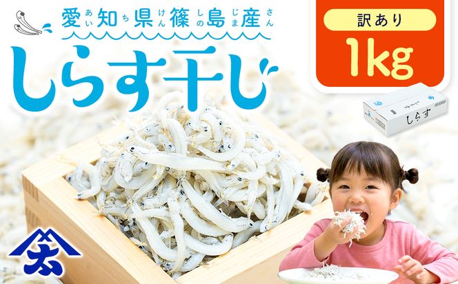 【スピード発送】＜篠島産＞ 訳あり しらす干し1kg シラス 南知多産 愛知