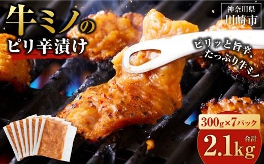 牛ミノ ピリ辛漬け 2.1kg ( 300g × 7 ) ビールに合う お酒のお供 焼肉 おすすめ 小分け 使いやすい 焼くだけ 焼き肉 バーベキュー 味噌たれ漬け 冷凍 配送時期が選べる 個包装 冷凍保存 アウトドア キャンプ BBQ おすすめ 人気