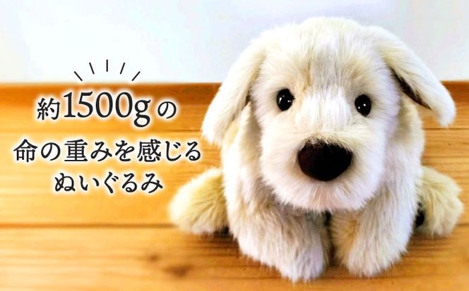 パトランミニ・ナチュラル 糸島市 / 科学工房未来 犬 ペット ぬいぐるみ [AYI007] パトラン ナチュラル ぬいぐるみ 犬 いぬ ハンドメイド クラフトファー ペット