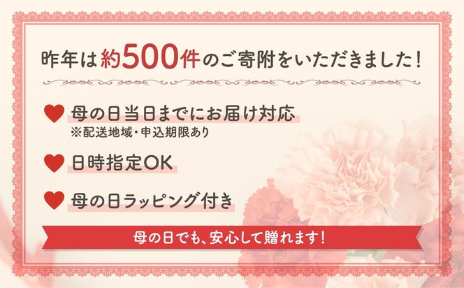 ＼先行受付 令和8年5月10日の母の日お届け：5月6日(水) 決済完了分まで！／ クレマチス 「 白万重 」 5号鉢 ラッピング付き 母の日直前にお届け 2026年 お母さんへの心を込めた贈り物 長持ち 鉢植え フラワーセット プレゼント 送料無料 故郷納税 福島県 田村市 フローラハシモト