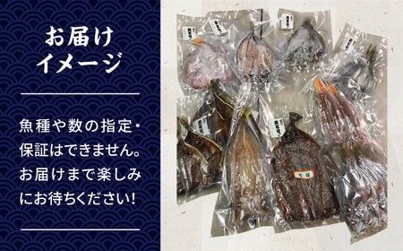 【全12回定期便】塩 にも こだわり 玄海 の 海 旬 の 干物 大満足 セット ( 5～6人 向け ) 糸島市 / 福ふくの里 [ALD010]