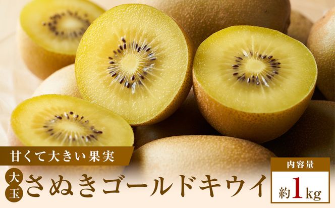 【数量限定500セット】超大玉さぬきゴールドキウイ　約1kg 372013_T006-818J