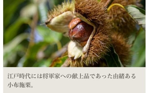 無燻蒸小布施栗約1kg及び栗羊羹詰め合わせ ［おぶせファーマーズ］ 果物 フルーツ 生栗 くり 栗 無くん蒸　スイーツ 和菓子 かのこ 羊羹 栗羊羹 ようかん 詰め合わせ 長野県産 信州産 令和7年産 【2025年9月下旬～11月上旬発送】 ［F-65］