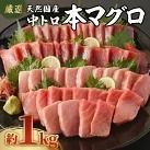 【数量限定】 厳選 天然 本マグロ 中トロ 1kg 以上 国産 鮮魚 マグロ 魚 刺身 刺し身 漬け丼 海鮮丼 おかず 魚介類 海鮮 海産物 まぐろ 本まぐろ 鮪 ブロック  惣菜 冷凍 美阿丸 高知県 室戸市