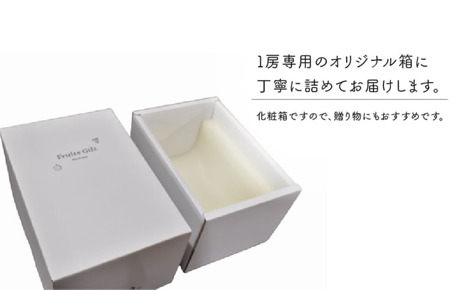 【2026年先行予約】シャインマスカット 1房入 /500g以上 (岡山県産) 【KF-B008-02】