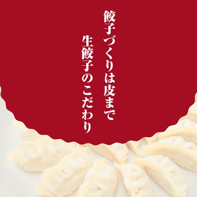 【大阪名物】大阪ふくちぁんスタミナ餃子 冷凍生餃子 288個 ［36個入×8セット］ 272183_AY13