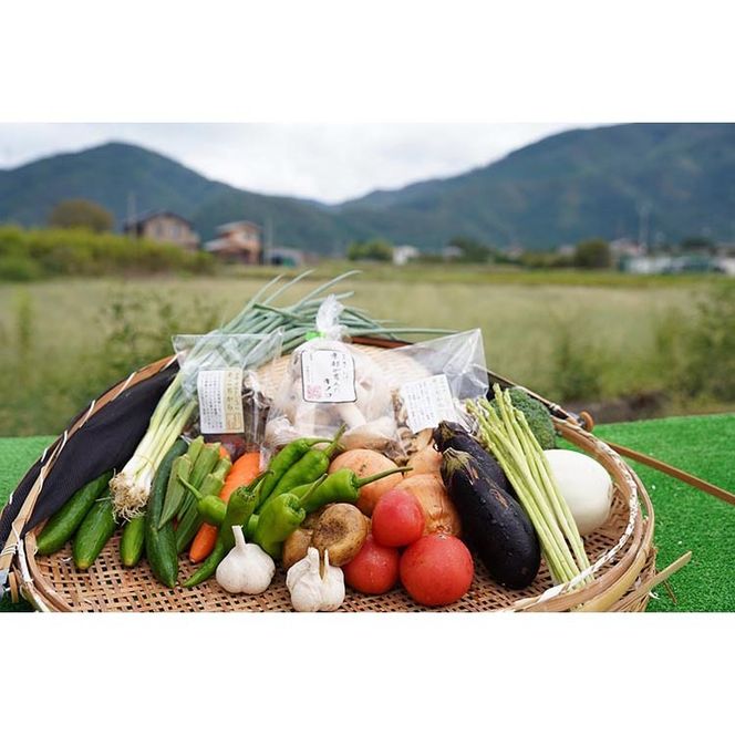 お野菜セット アビトルベジタブル+しいたけ 合計8～10品目詰め合わせセット 季節の野菜 旬の野菜 やさい 新鮮 産地直送 きのこ キノコ 産直 国産 京都 京都産 ※北海道・沖縄・離島への配送不可