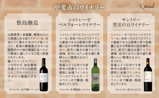 甲斐市産　赤ワイン飲み比べ　3本セット　Presents by Katerial　AD-34