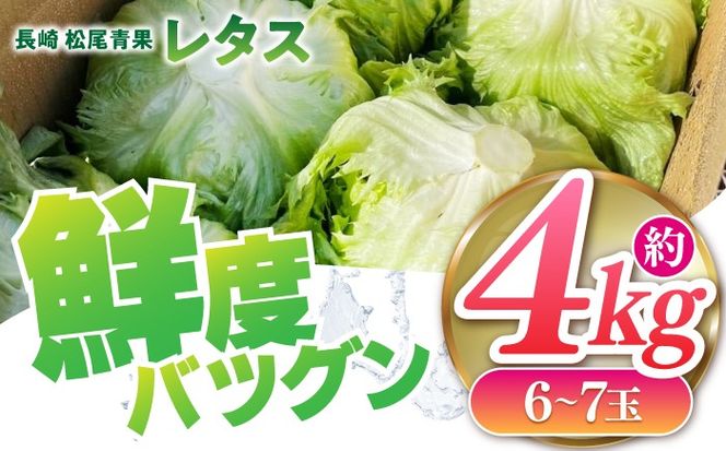 レタス 約4kg（6〜7玉）/ れたす 野菜 やさい / 南島原市 / 株式会社松尾青果[SGU006]