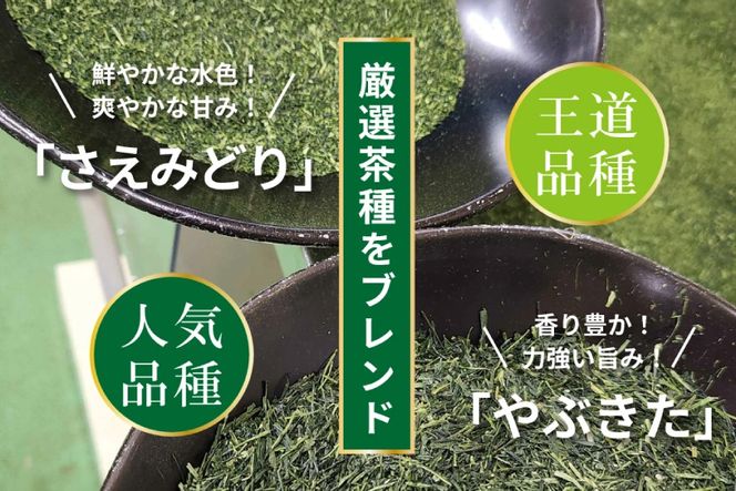 お茶 ティーバッグ 特撰 みやざき煎茶 紐付き 10袋 セット [谷岩茶舗 宮崎県 日向市 452061739] ティーパック 茶 茶葉 緑茶 新茶 お茶の葉