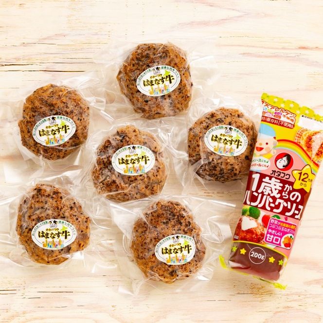 13-91 オホーツクはまなす牛ハンバーグステーキセット