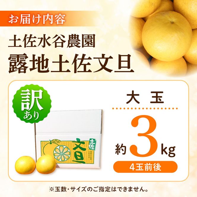 【先行予約】文旦 家庭用大玉 3キロ 3kg（3L～上限なし：4玉前後）〈2027年1月20日～発送〉皮むき器付き 訳あり 文旦 ぶんたん ブンタン 柑橘 フルーツ 果物 高知 土佐市【土佐水谷農園】 [BQBD007]