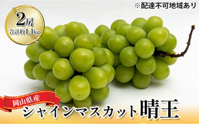 ぶどう 2026年 先行予約 シャイン マスカット 晴王 2房 （合計約1.1kg） 化粧箱入り マスカット ブドウ 葡萄 岡山県産 国産 フルーツ 果物 ギフト [№5735-1443]