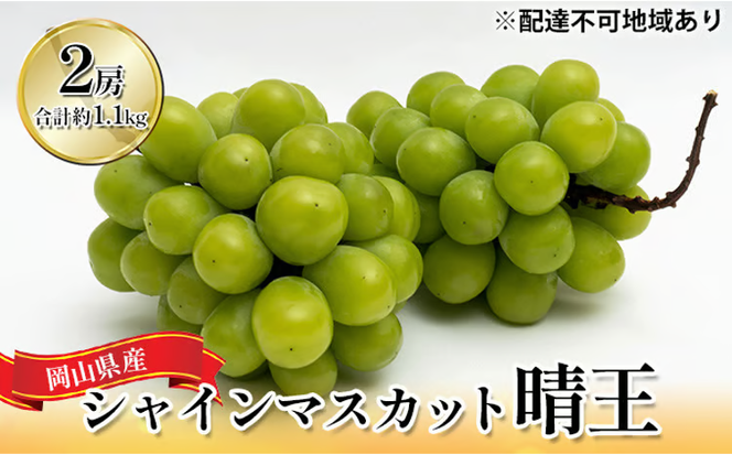 ぶどう 2026年 先行予約 シャイン マスカット 晴王 2房 （合計約1.1kg） 化粧箱入り マスカット ブドウ 葡萄 岡山県産 国産 フルーツ 果物 ギフト [№5735-1443]