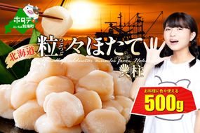 【訳あり】訳あり 北海道 野付のホタテ 500g 冷凍 ほたて貝柱【北海道 野付産】 