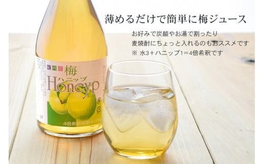 希釈用梅ドリンク 梅ハニップ 完熟梅ハニップ 各3本セット【prm022A】