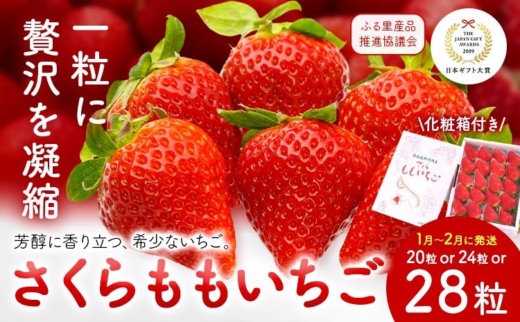 [CF]いちご 佐那河内村限定 さくらももいちご 20粒 24粒 28粒 化粧箱 JA徳島市佐那河内支所 ふる里産品推進協議会[1月上旬頃から2月末頃に出荷(土日祝除く)]徳島県 佐那河内村[配送不可地域あり]※離島 | ブランドいちご 産地直送 ギフト大賞 ジューシー---sanagouchi_hss_7_1k---