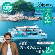 遊覧船 「宮古うみねこ丸」 乗船券 [2枚] チケット 券 名勝 景色 自然 船