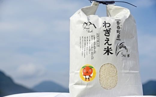 わぎえ米 計13kg(5kg×2袋+3kg×1袋) / 夢つくし 元気つくし 白米 米 お米 国産 福岡県産