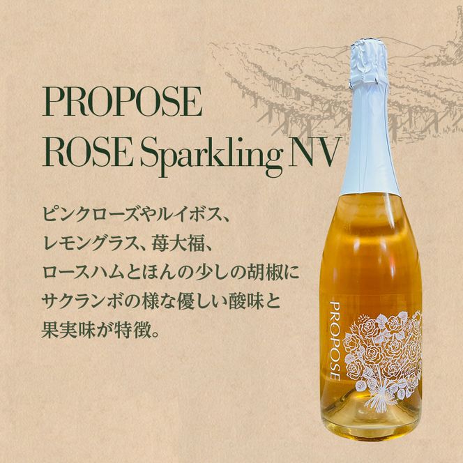 【北海道仁木町 ふるさと納税限定ワインセット】ワイン 6本 セット [ お酒 酒 果実酒 晩酌 葡萄 ぶどう ブドウ 料理 食事 お祝い 北海道 仁木町 ]
