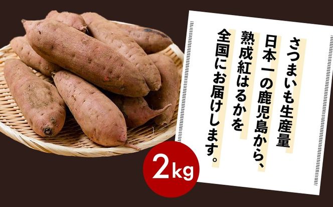 畑の金貨　生芋　紅はるか　容量が選べる　2kg or 4kg　K181-004