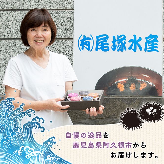 ウニ染めストール(1枚) うに 雲丹 染物 ストール 紫色 シルク ファッション お洒落 オシャレ 工芸品 特産品 環境 SDGs 【尾塚水産】akn004-23