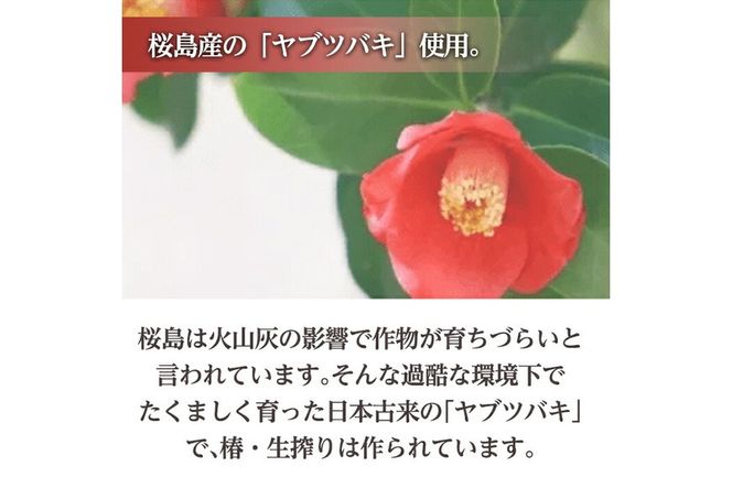 a937 ＜本数が選べる＞椿・生搾り(30ml)鹿児島産椿実を生絞りした椿油！国産 九州 鹿児島 椿 ツバキ つばき油 椿油 油 オイル セット ヘアケア ヘアオイル【てんげん】